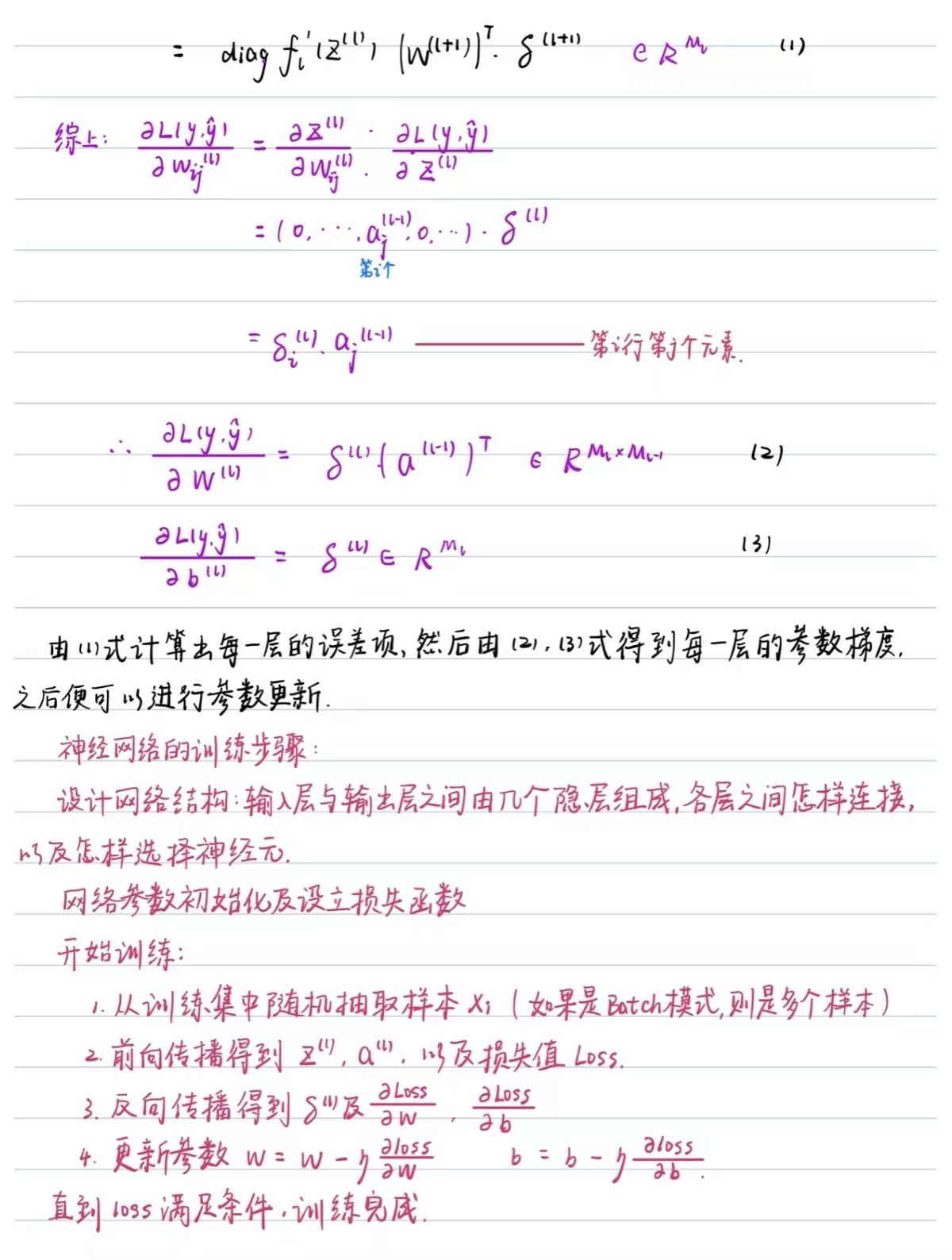 激活函数和损失函数